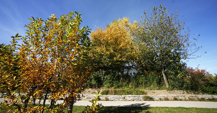 Landschaftsarchitekturaufnahmen Grnzug Winfriedstrasse in München, Fotos: Sascha Kletzsch, München
